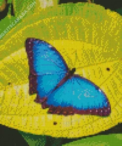 Blue And Black Butterflies On Leaf Diamond Painting