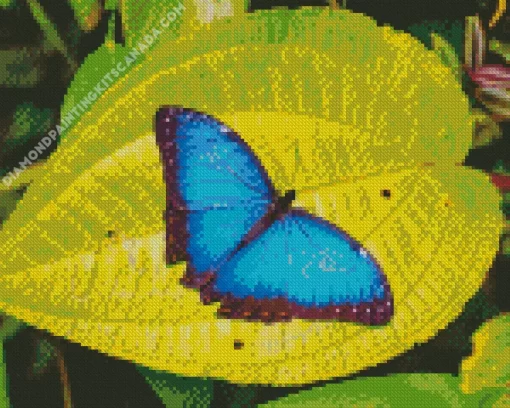 Blue And Black Butterflies On Leaf Diamond Painting