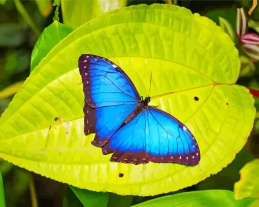 Blue And Black Butterflies On Leaf Diamond Painting