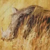 Common Warthog Diamond Painting