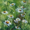 Field of White Daisies Poster Diamond Painting