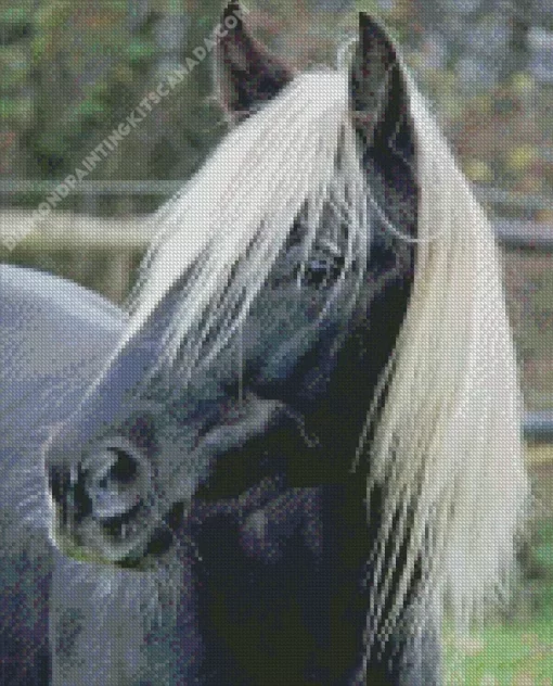 Horse With Blond Hair Diamond Painting