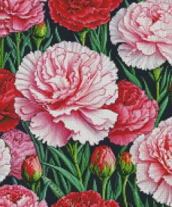 Pink And Red Blooming Carnation Diamond Painting