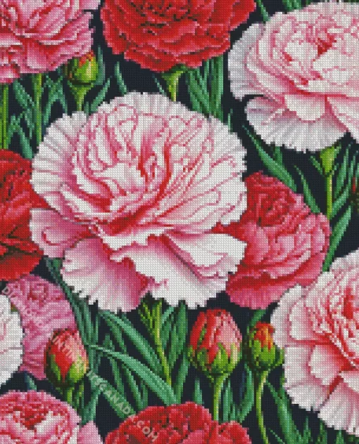 Pink And Red Blooming Carnation Diamond Painting