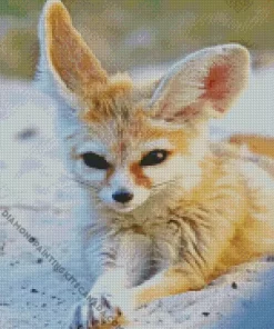 Wild Blond Fox Diamond Painting