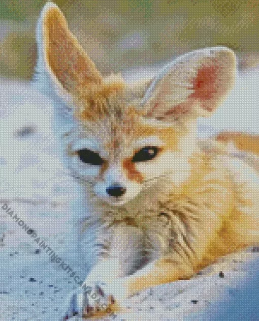 Wild Blond Fox Diamond Painting