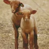 Baby Brown Lambs Diamond Painting