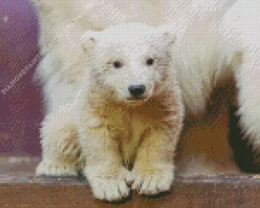 Baby Knut Polar Bear Diamond Painting