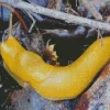 Banana Slug Diamond Painting