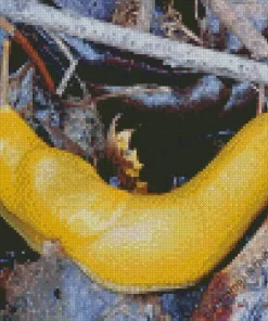 Banana Slug Diamond Painting