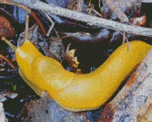 Banana Slug Diamond Painting