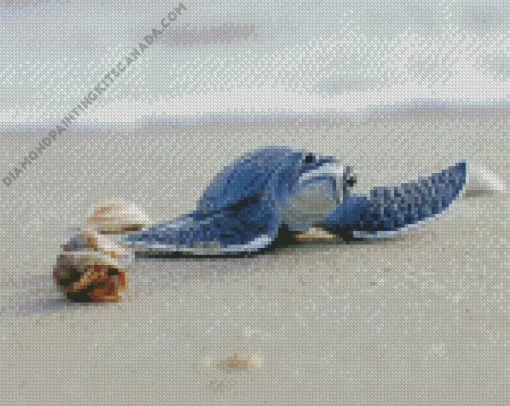 Beach With Turtle Diamond Painting