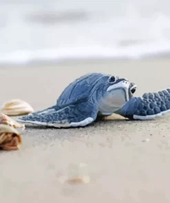 Beach With Turtle Diamond Painting