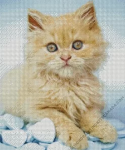 Blonde Kitten Diamond Painting