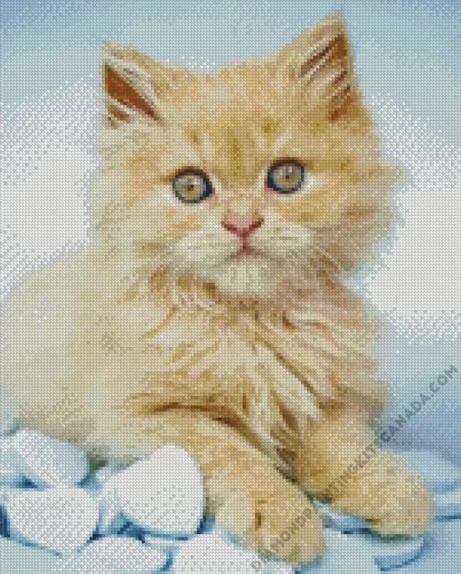 Blonde Kitten Diamond Painting