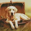 Blonde Labrador Diamond Painting