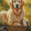 Blonde Labrador In A Basket Diamond Painting