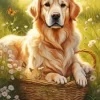 Blonde Labrador In A Basket Diamond Painting