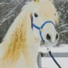 Blonde Stallion Diamond Painting