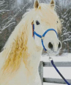 Blonde Stallion Diamond Painting