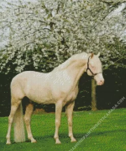 Blonde Stallion Horse Diamond Painting