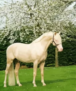 Blonde Stallion Horse Diamond Painting