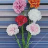 Blooming Carnation Diamond Painting