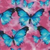 Blue And Black Butterflies Diamond Painting