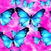 Blue And Black Butterflies Diamond Painting