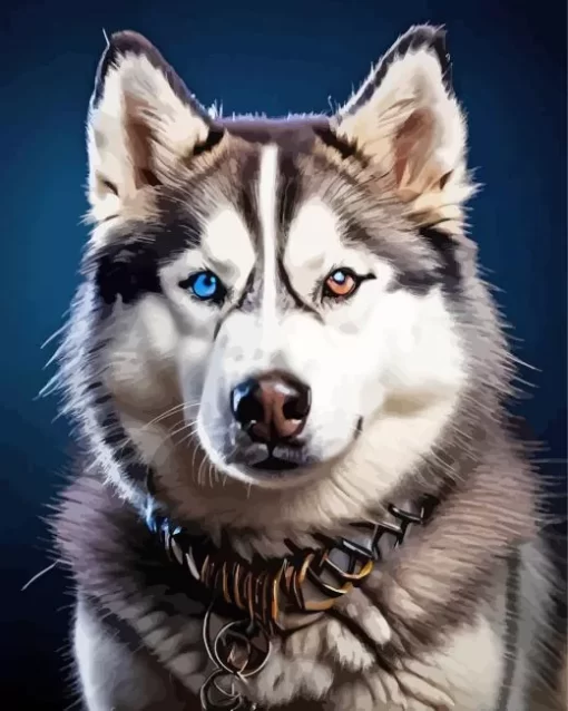 Blue And Brown Eye Husky Diamond Painting