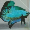 Blue And Green Betta Fish Diamond Painting