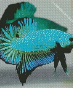 Blue And Green Betta Fish Diamond Painting