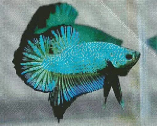 Blue And Green Betta Fish Diamond Painting