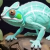 Blue And Green Chameleon Diamond Painting