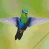 Blue And Green Hummingbird Diamond Painting