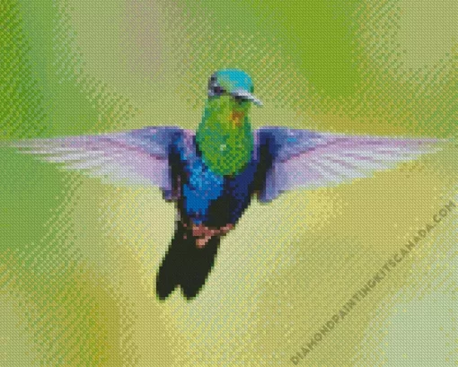 Blue And Green Hummingbird Diamond Painting