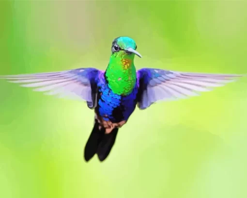 Blue And Green Hummingbird Diamond Painting