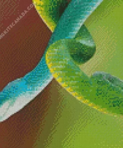 Blue And Green Pit Vipers Diamond Painting