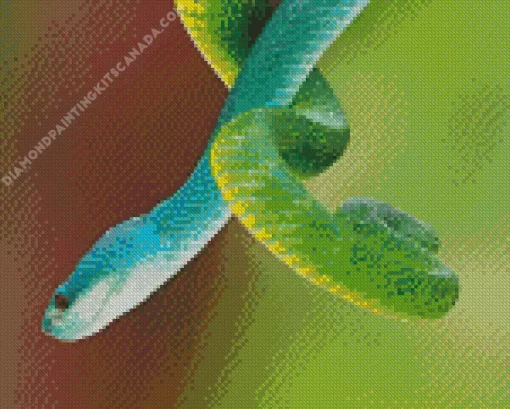 Blue And Green Pit Vipers Diamond Painting