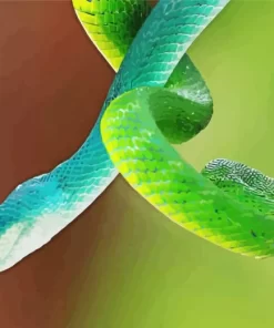 Blue And Green Pit Vipers Diamond Painting