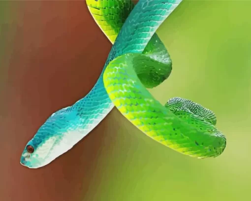 Blue And Green Pit Vipers Diamond Painting