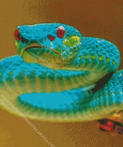 Blue And Green Pit Vipers Snake Diamond Painting