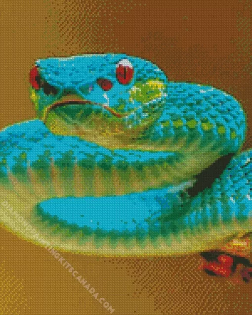 Blue And Green Pit Vipers Snake Diamond Painting