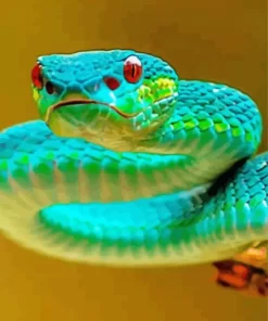 Blue And Green Pit Vipers Snake Diamond Painting