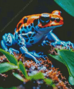 Blue And Orange Frog Diamond Painting