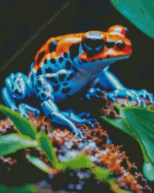 Blue And Orange Frog Diamond Painting