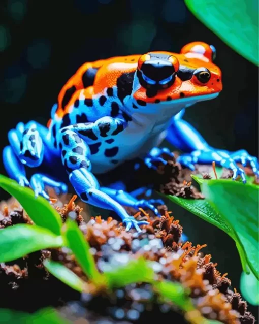 Blue And Orange Frog Diamond Painting