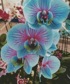 Blue And Pink Orchid Diamond Painting