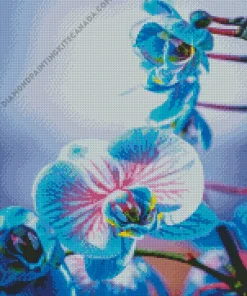 Blue And Pink Orchids Diamond Painting