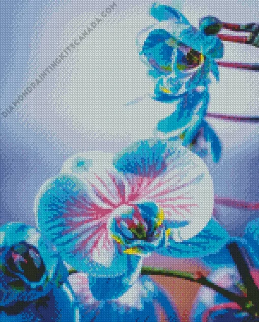 Blue And Pink Orchids Diamond Painting